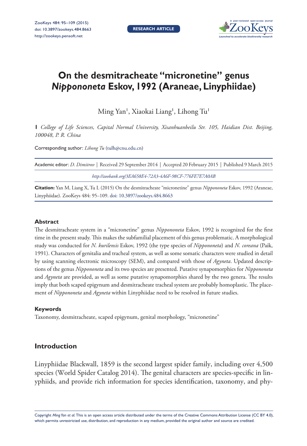 On the Desmitracheate “Micronetine” Genus Nippononeta Eskov, 1992 (Araneae, Linyphiidae)