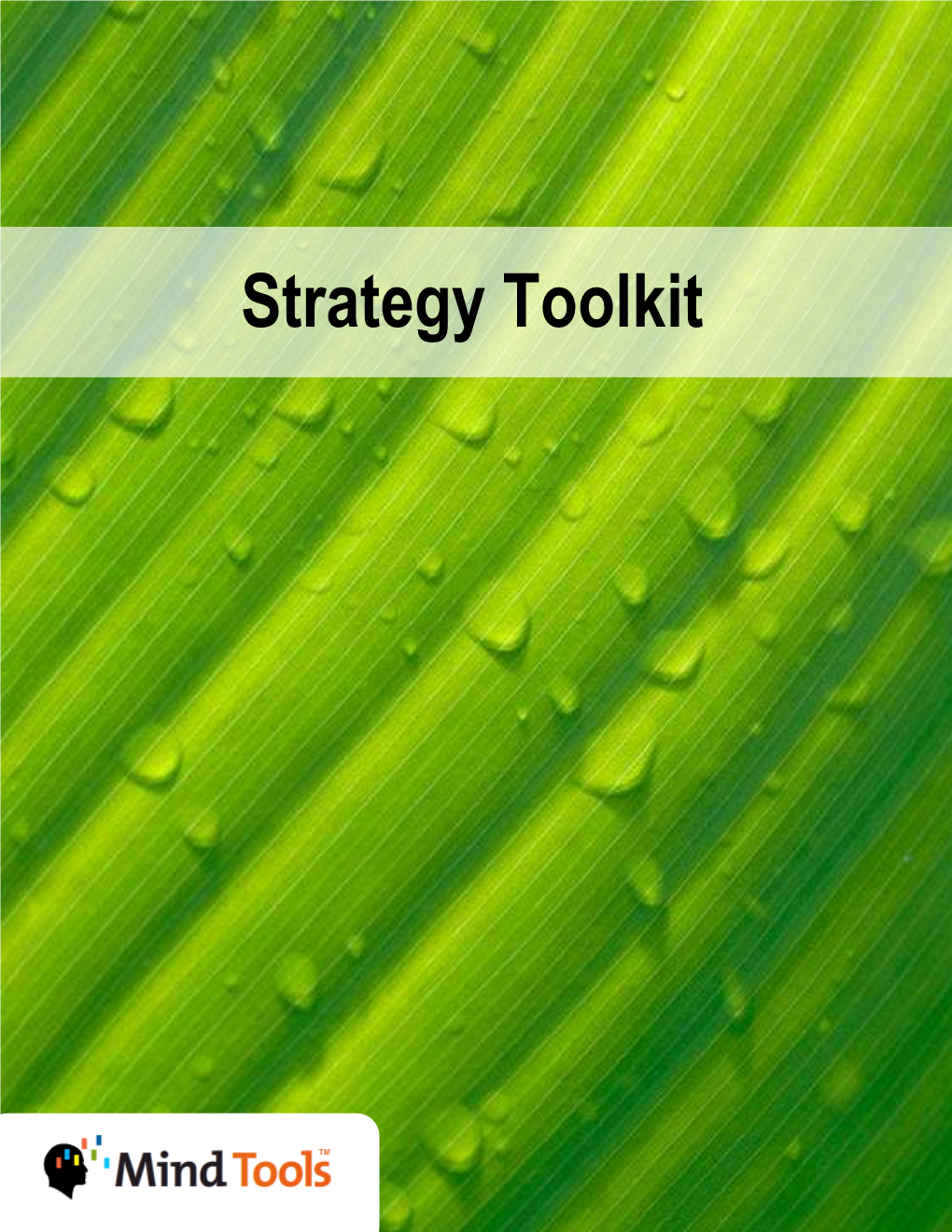 Strategy Toolkit