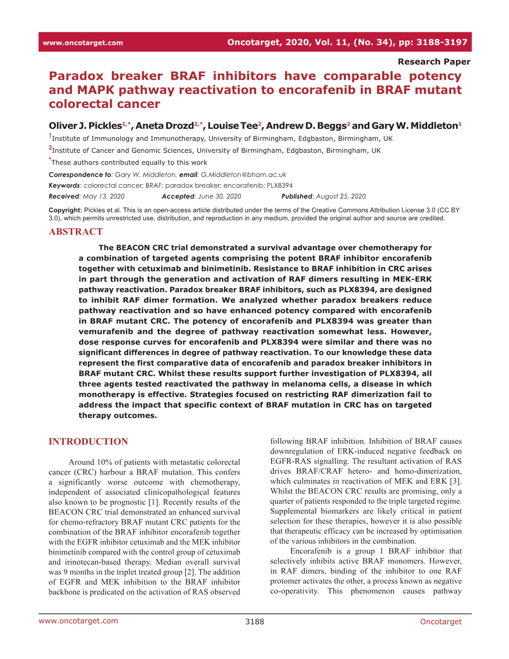 Paradox Breaker BRAF Inhibitors Have Comparable Potency and MAPK Pathway Reactivation to Encorafenib in BRAF Mutant Colorectal Cancer