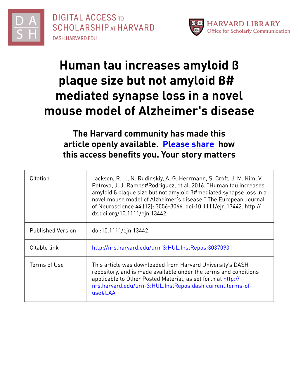 Human Tau Increases Amyloid β