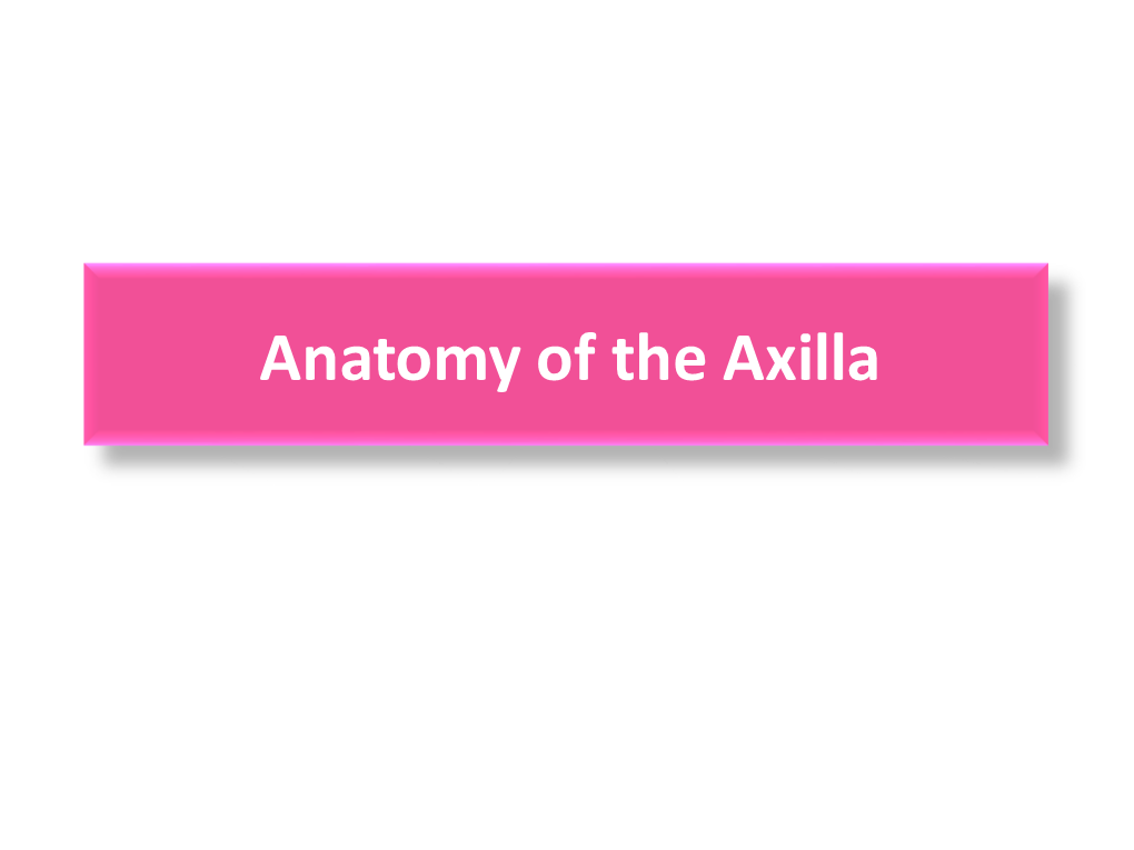 Anatomy of the Axilla