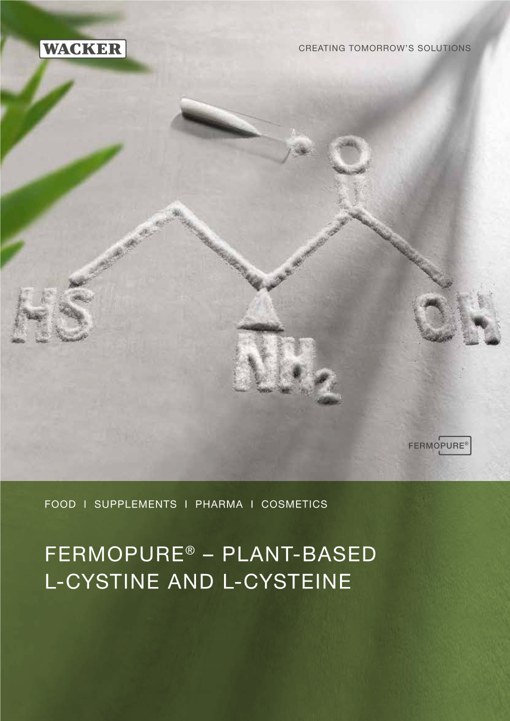 Fermopure® – Plant-Based L-Cystine and L-Cysteine Trusted Expertise in Biotech