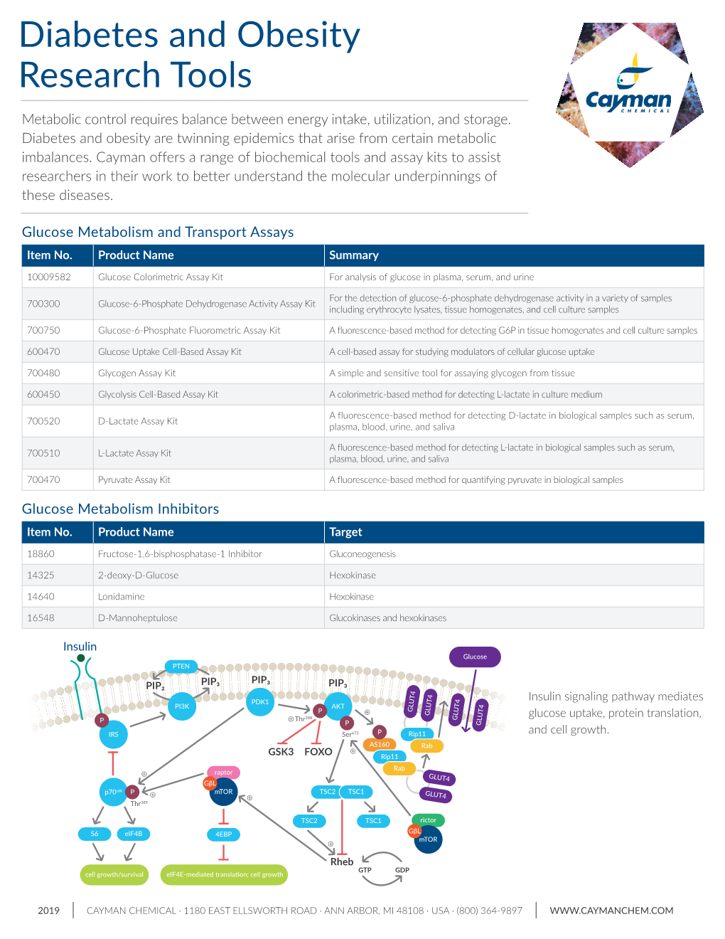 Diabetes and Obesity Research Tools