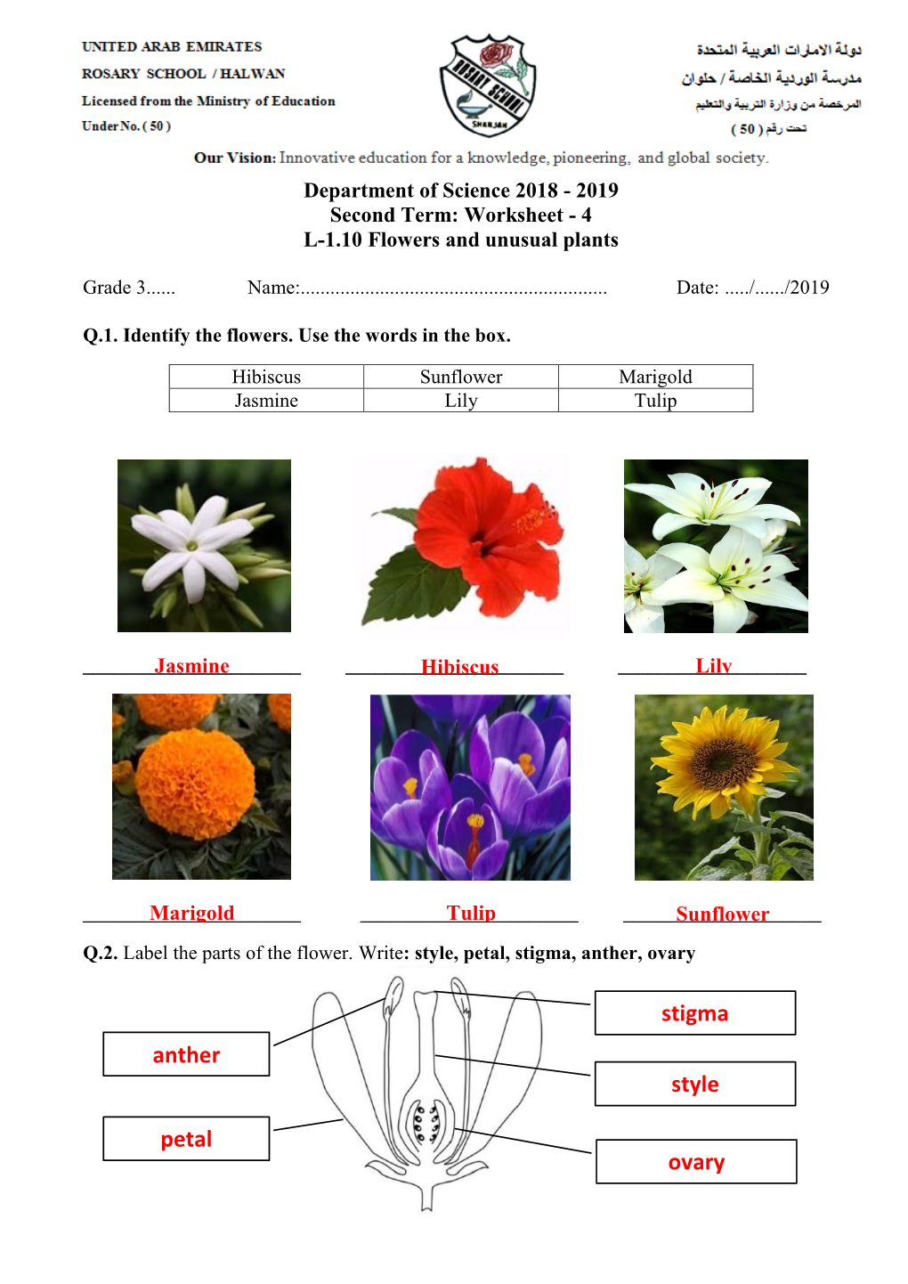 Stigma Style Ovary Petal Anther