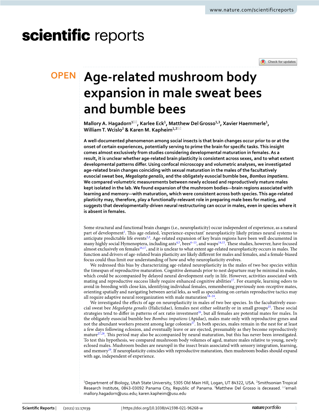 Age-Related Mushroom Body Expansion in Male Sweat Bees and Bumble Bees Data Sets