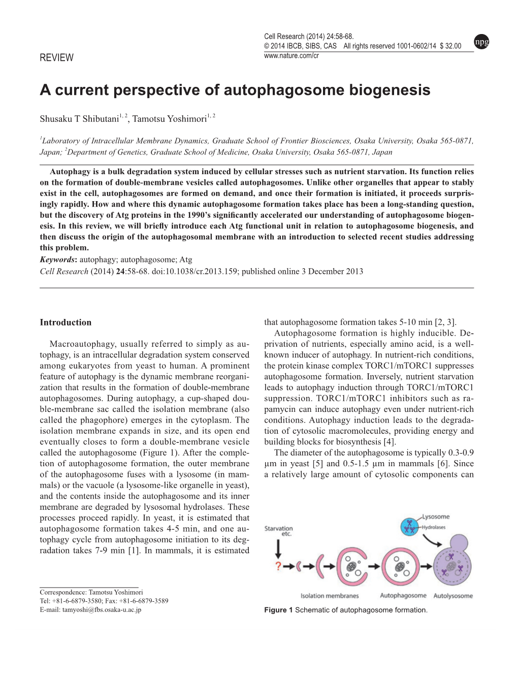 A Current Perspective of Autophagosome Biogenesis