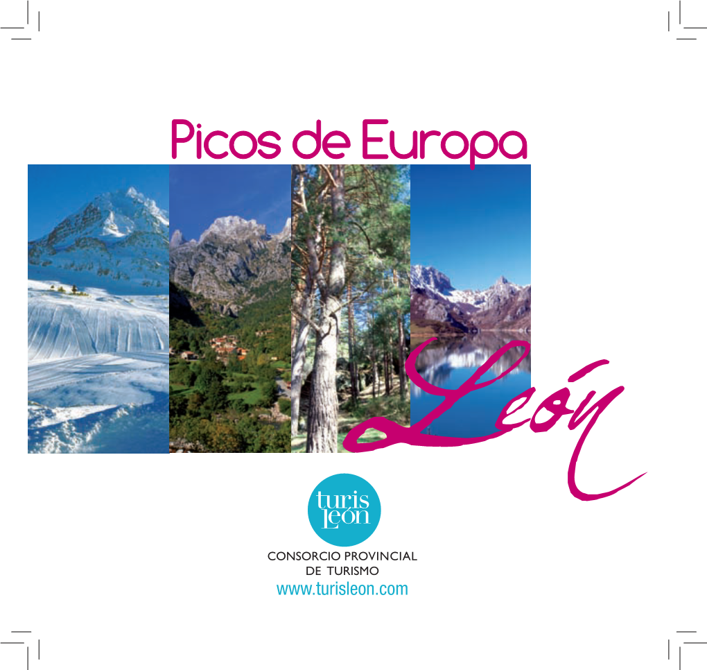 Guía De Picos De Europa