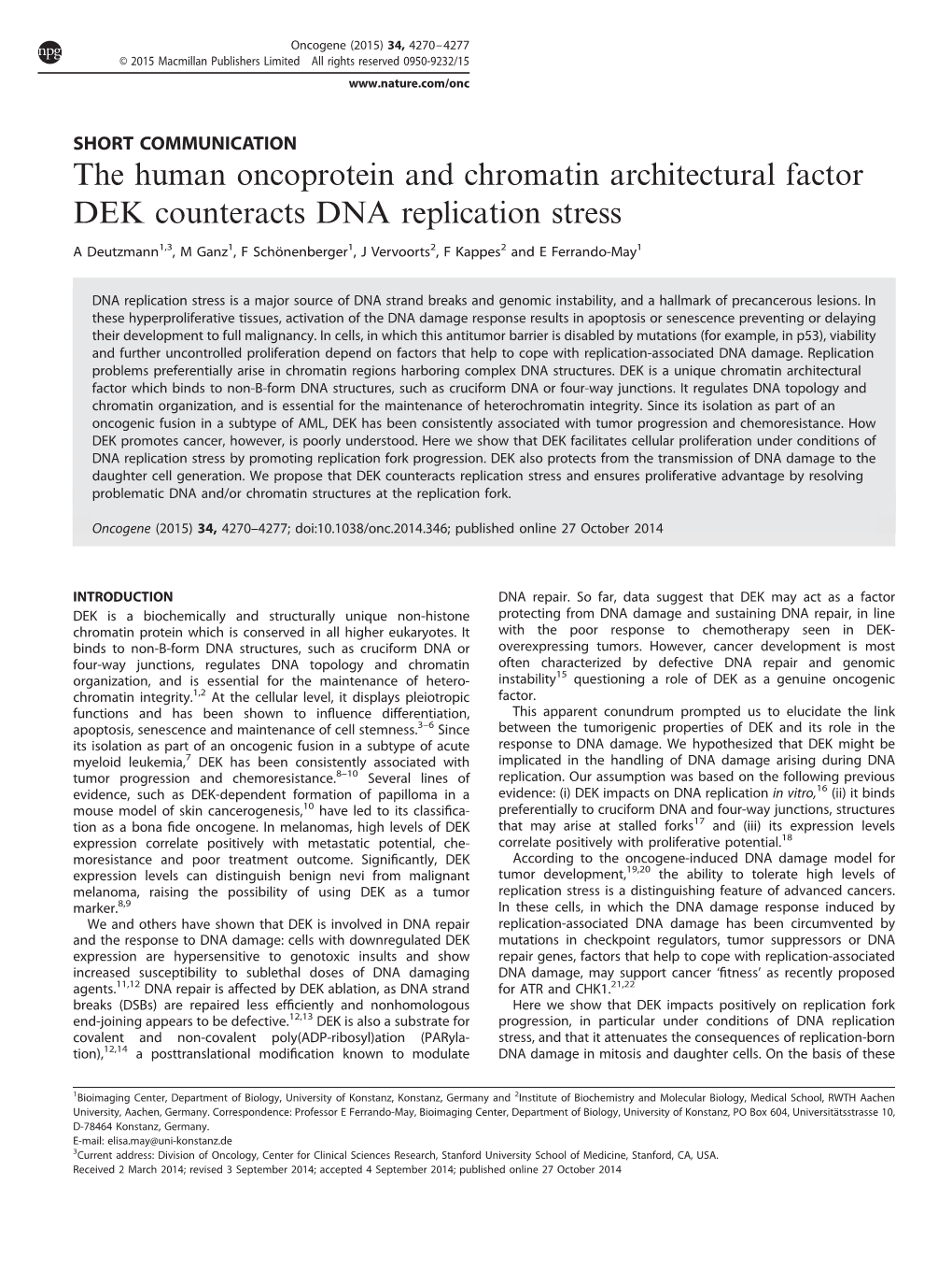 The Human Oncoprotein and Chromatin Architectural Factor DEK Counteracts DNA Replication Stress