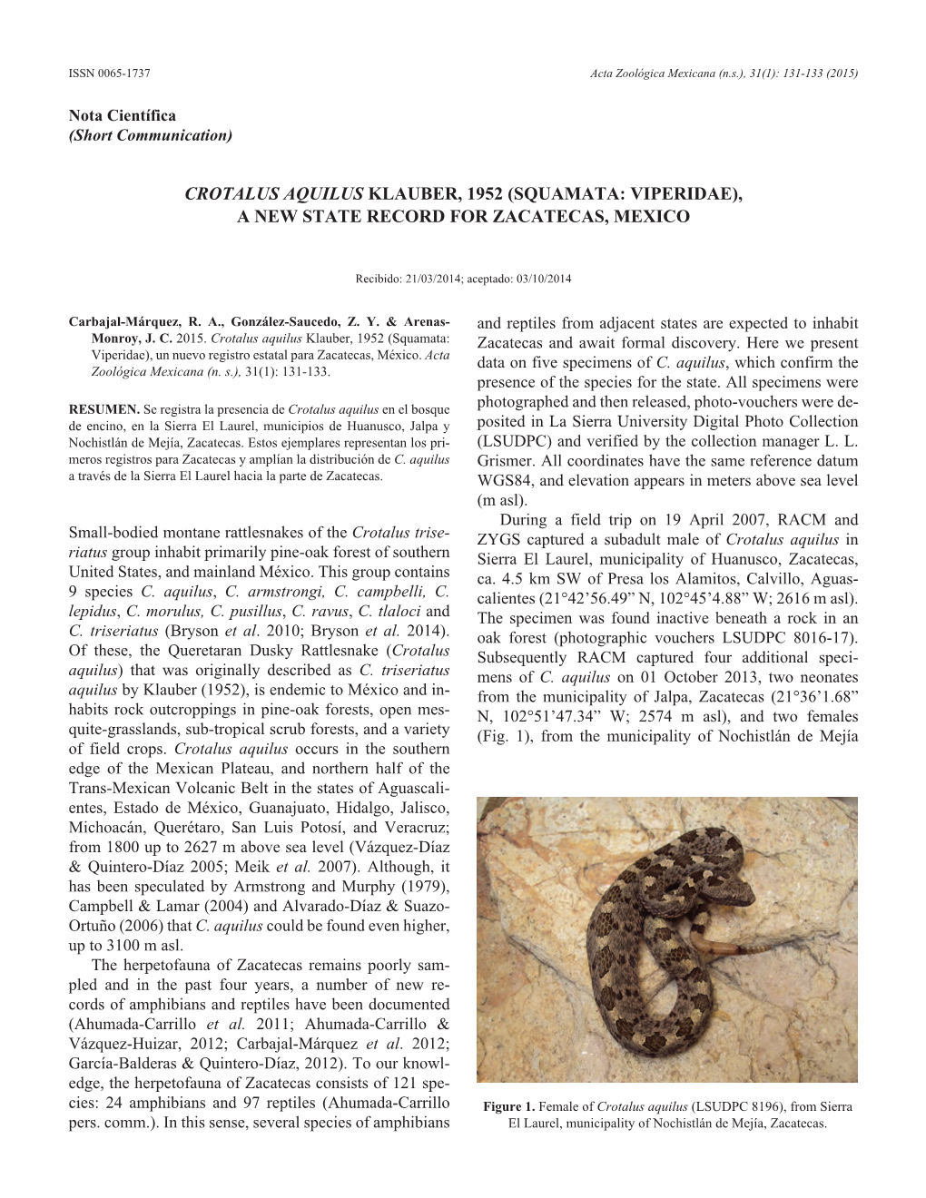 Crotalus Aquilus Klauber, 1952 (Squamata: Viperidae), a New State Record for Zacatecas, Mexico