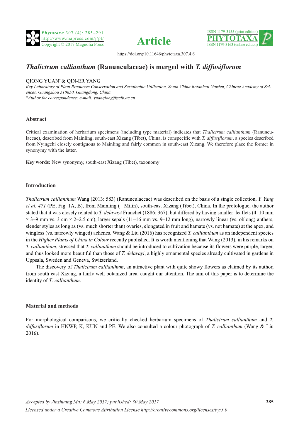 Thalictrum Callianthum (Ranunculaceae) Is Merged with T. Diffusiflorum