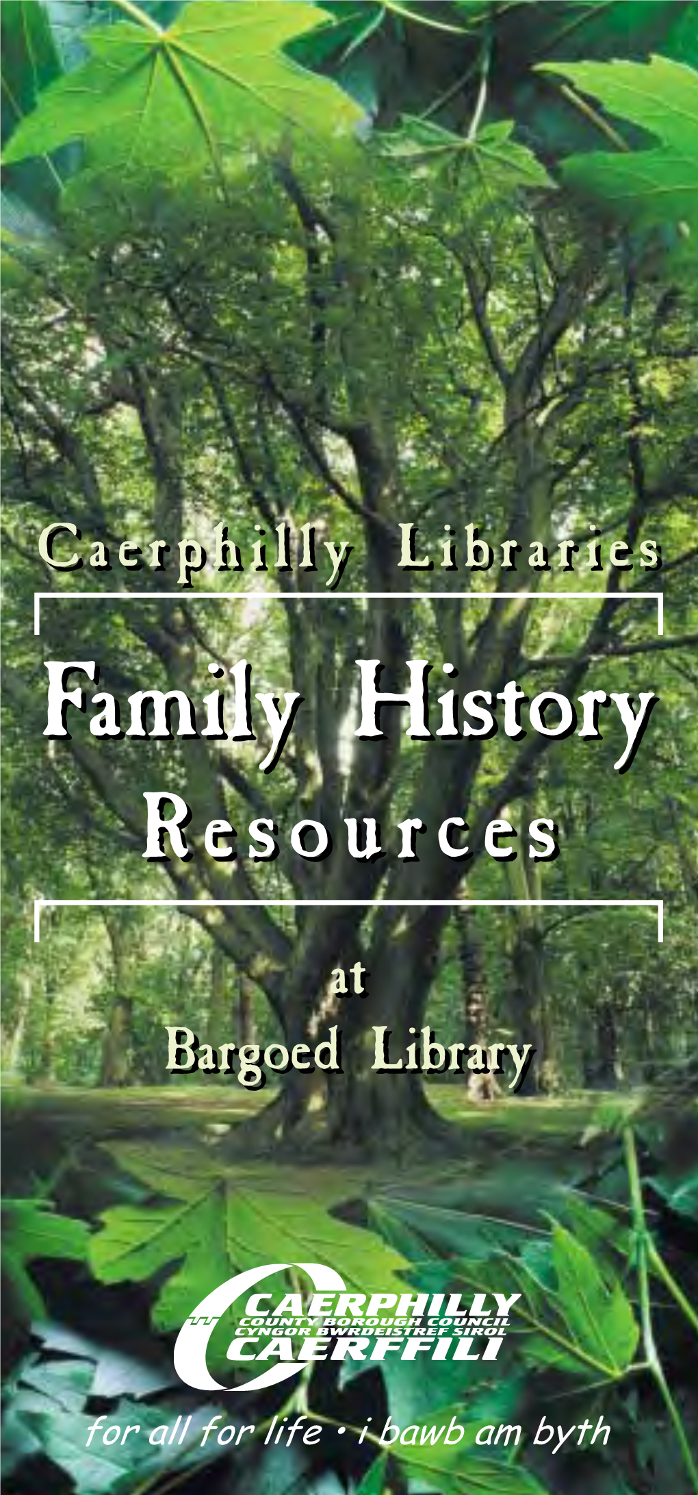 4785-83 Family History Leaflet