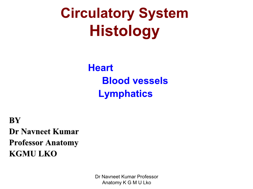 Blood Vessels Lymphatics