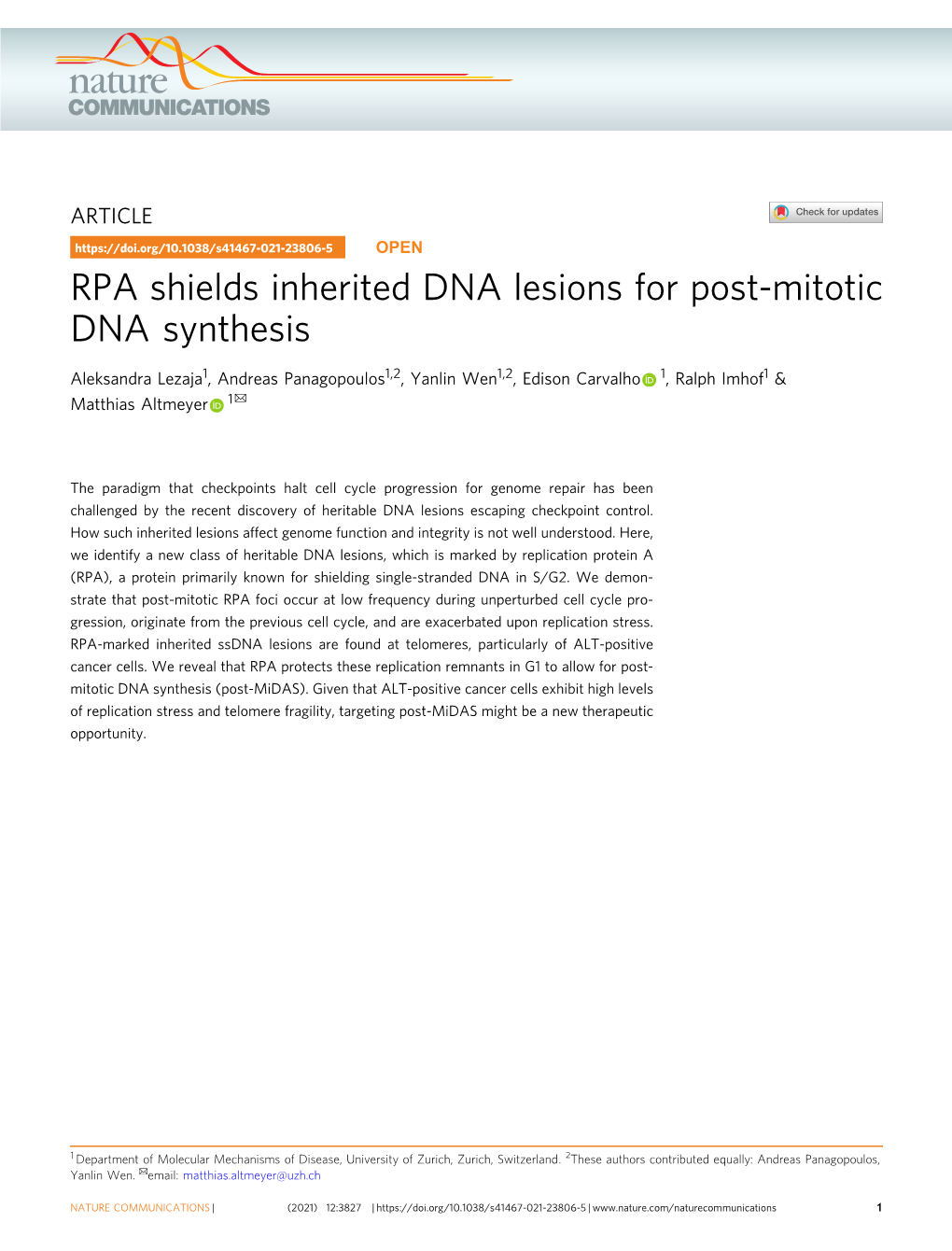 RPA Shields Inherited DNA Lesions for Post-Mitotic DNA Synthesis