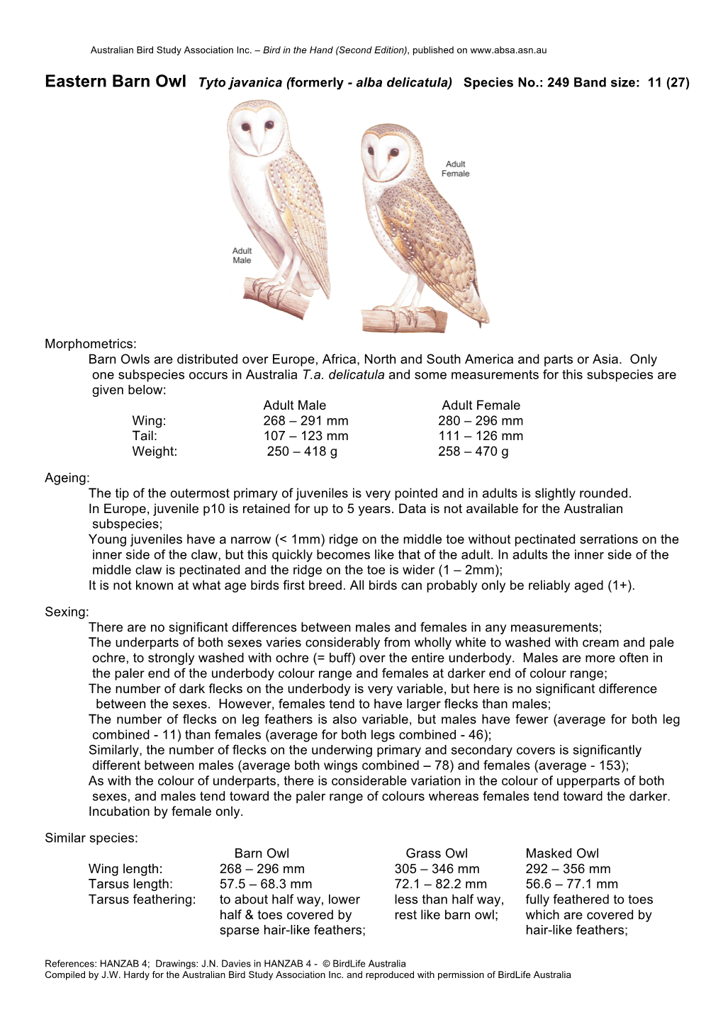 Eastern Barn Owl Tyto Javanica (Formerly - Alba Delicatula) Species No.: 249 Band Size: 11 (27)