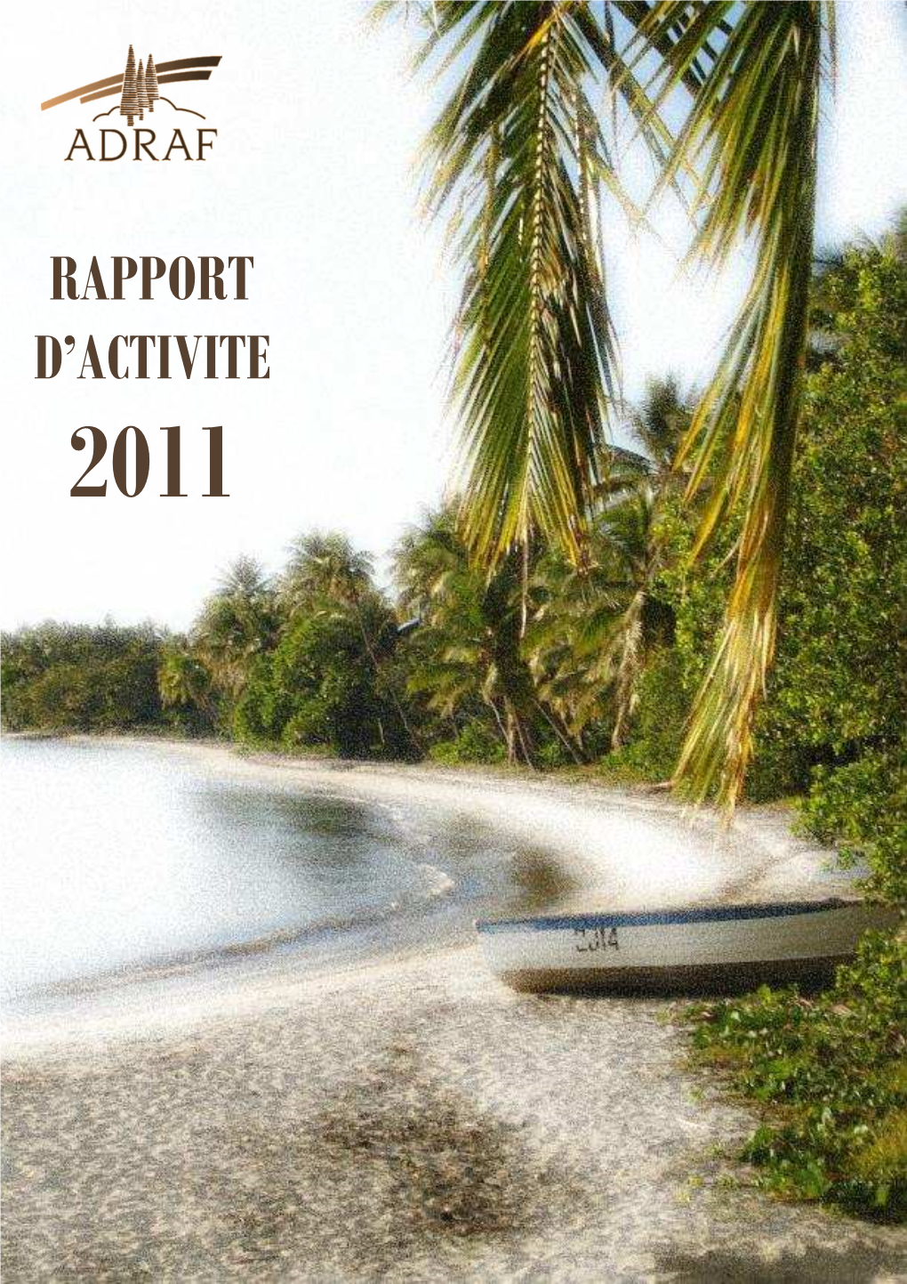 Rapport D'activité 2011