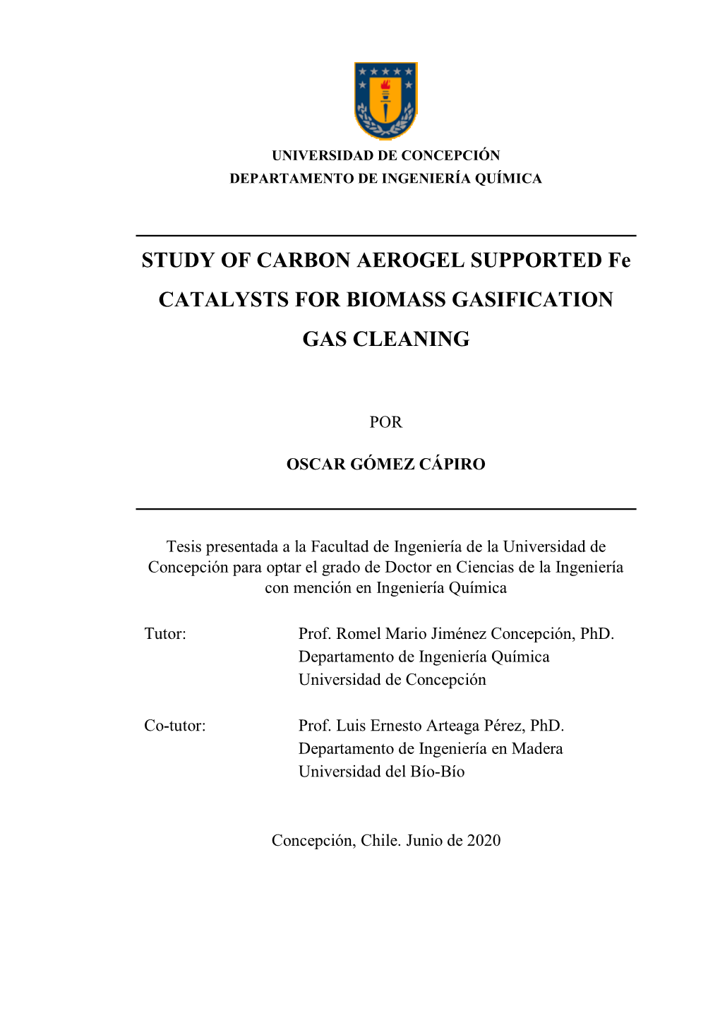 STUDY of CARBON AEROGEL SUPPORTED Fe CATALYSTS for BIOMASS GASIFICATION GAS CLEANING