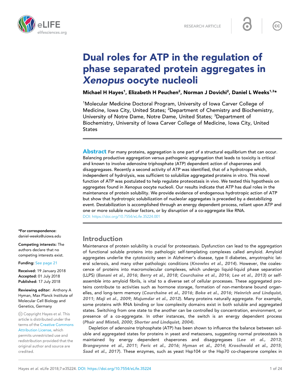 Dual Roles for ATP in the Regulation of Phase Separated Protein