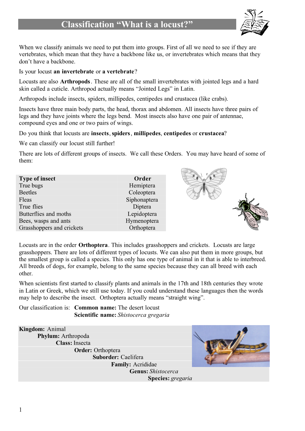 Classification "What Is a Locust?"