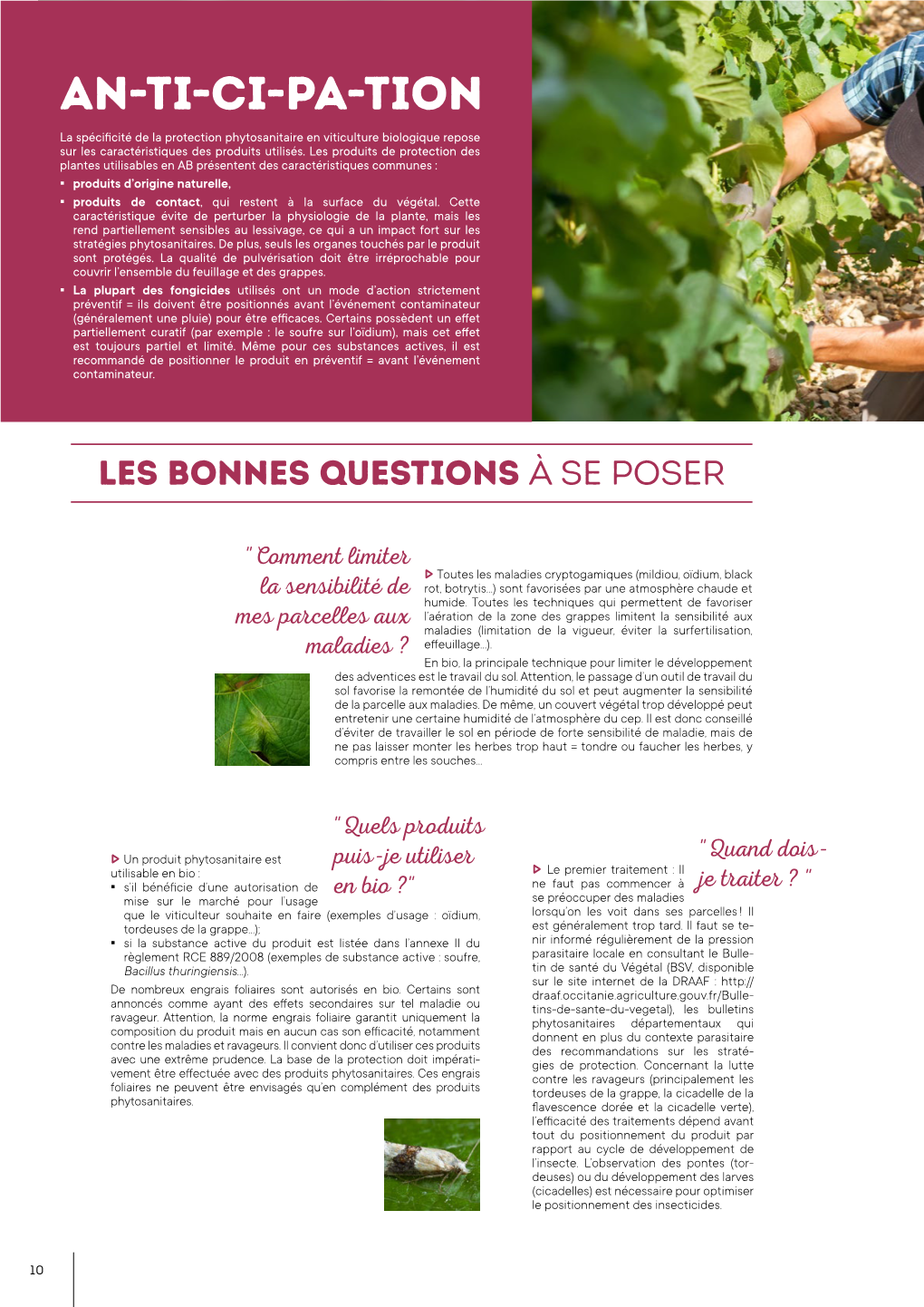 Dossier Viticulture