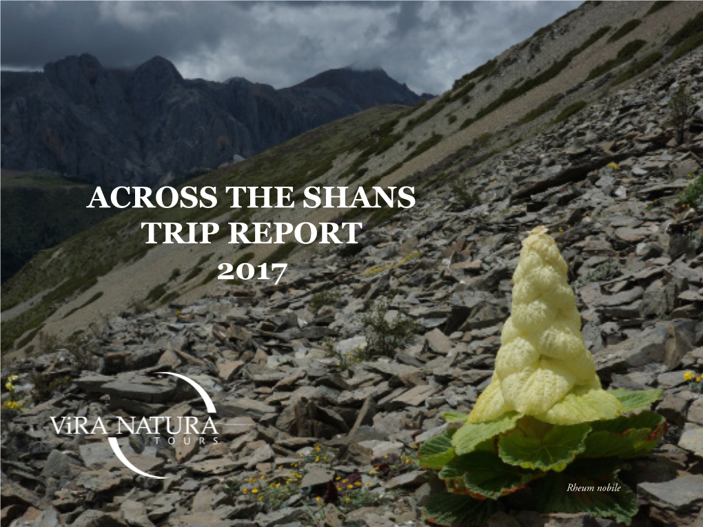 Across the Shans Trip Report 2017