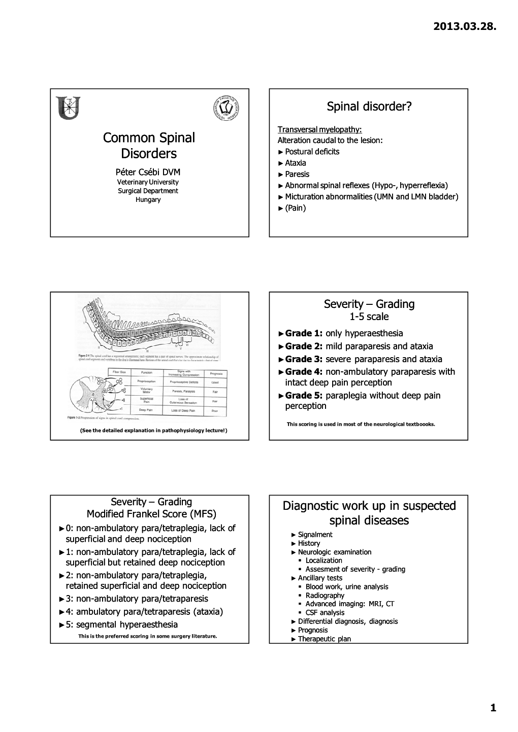 Common Spinal Disorders Peter Csebi 2013