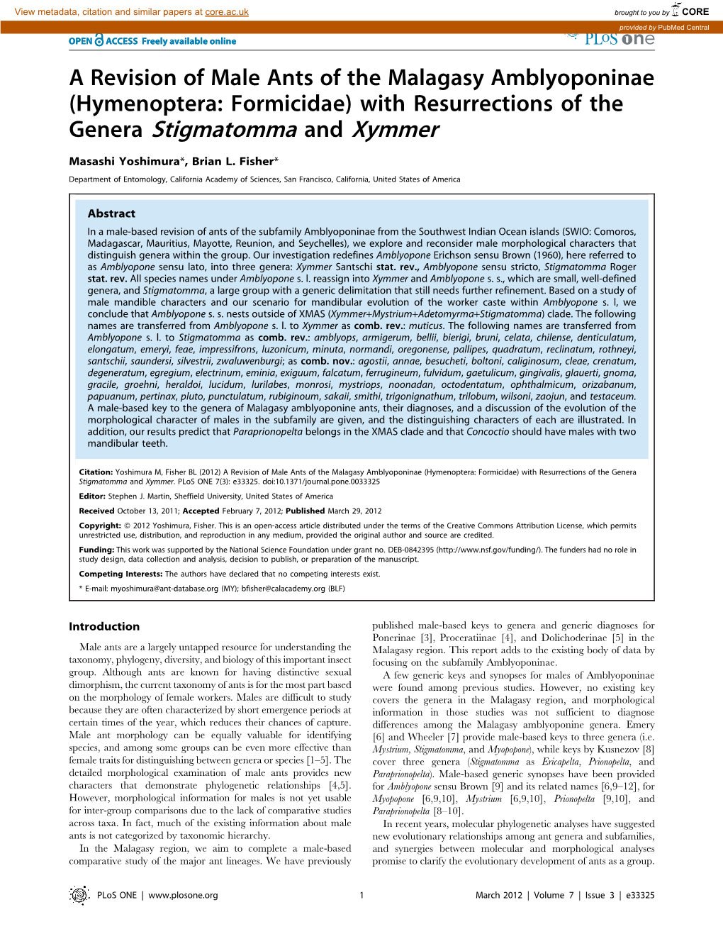 Genera Stigmatomma and Xymmer