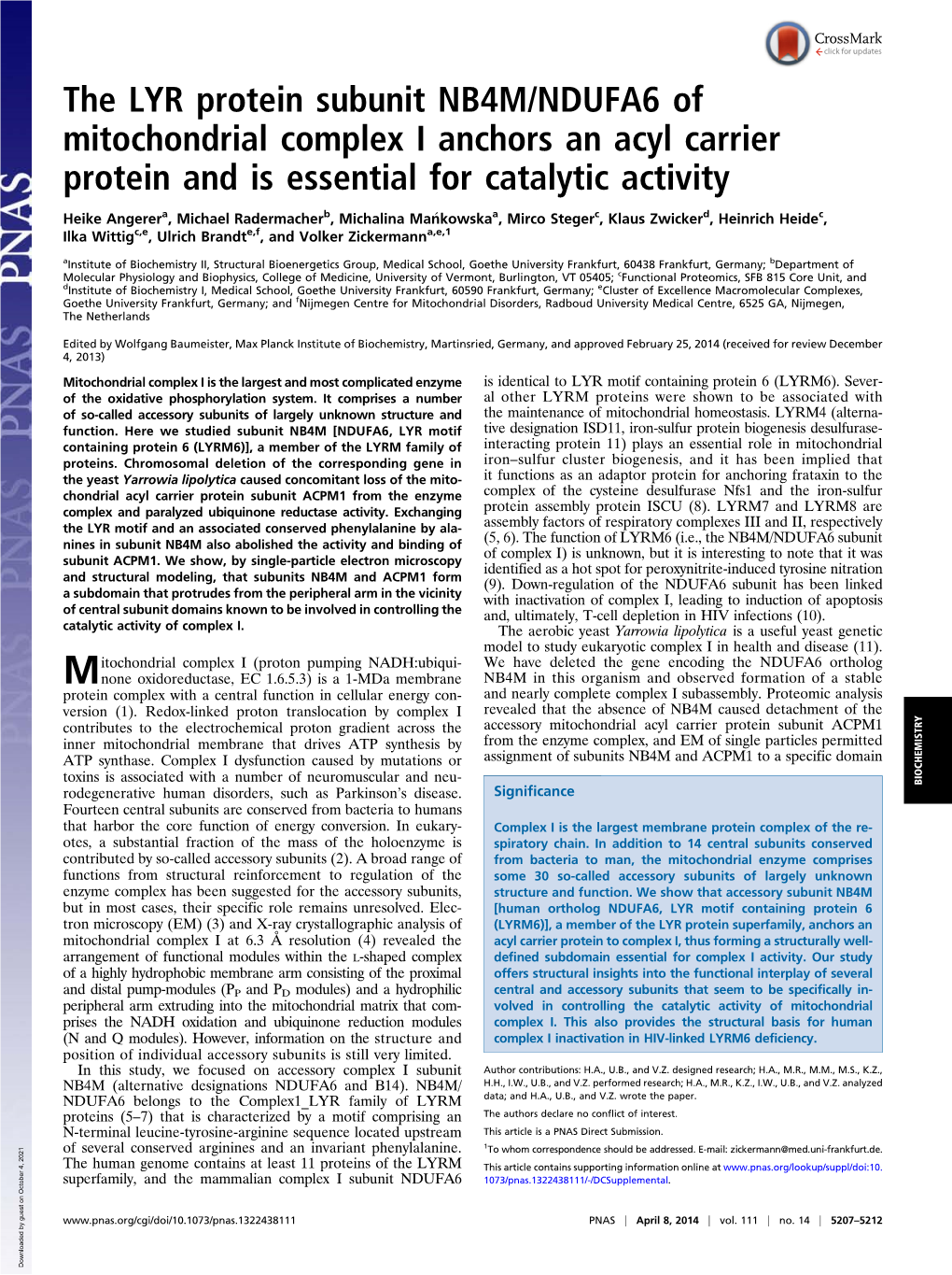 The LYR Protein Subunit NB4M/NDUFA6 of Mitochondrial Complex I Anchors an Acyl Carrier Protein and Is Essential for Catalytic Activity