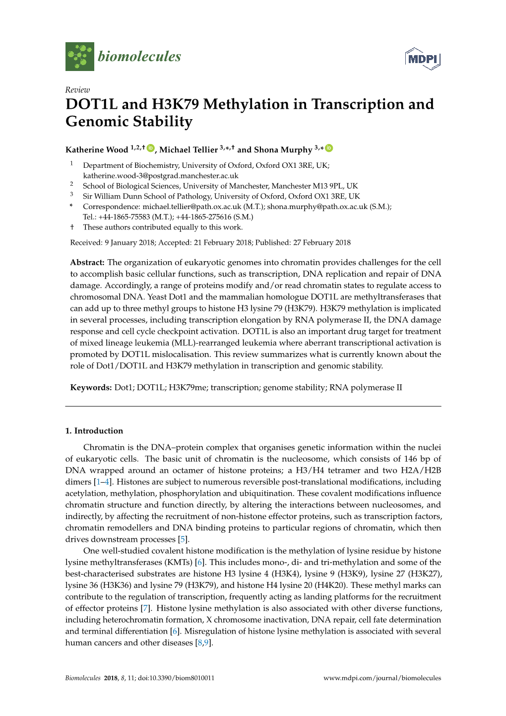 DOT1L and H3K79 Methylation in Transcription and Genomic Stability