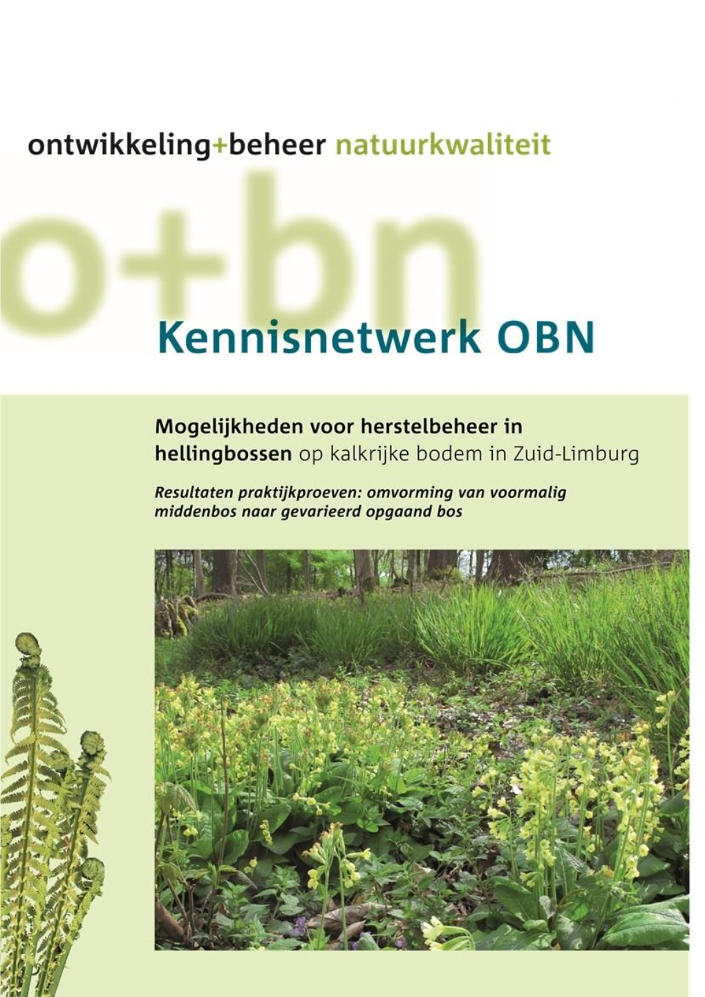 Mogelijkheden Voor Herstelbeheer in Hellingbossen Op Kalkrijke Bodem in Zuid-Limburg