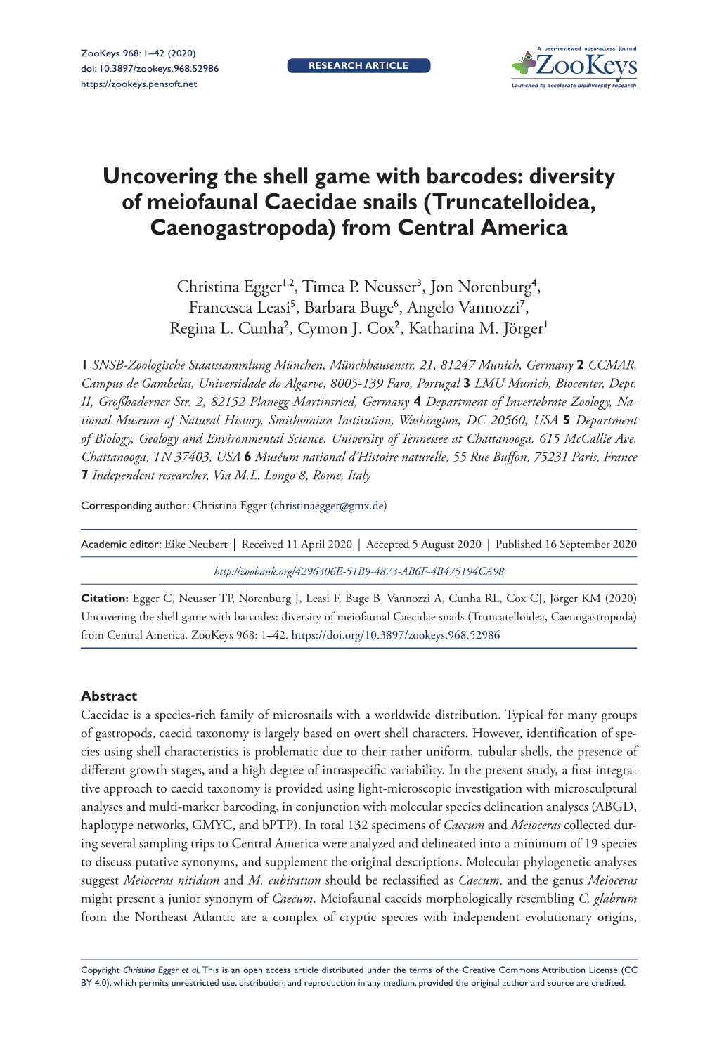 Uncovering the Shell Game with Barcodes: Diversity of Meiofaunal Caecidae Snails (Truncatelloidea, Caenogastropoda) from Central America