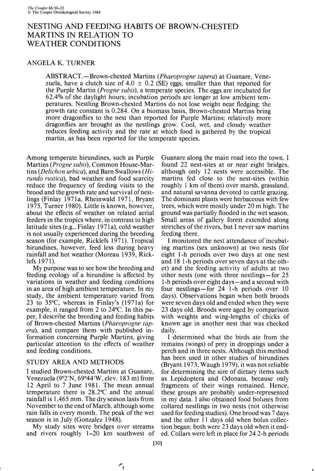 Nesting and Feeding Habits of Brown-Chested Martins in Relation to Weather Conditions