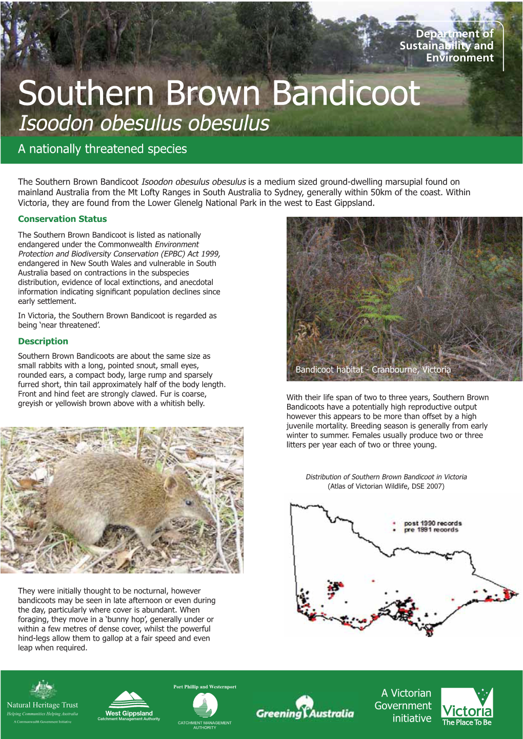 Southern Brown Bandicoot Fact Sheet-V1.Indd