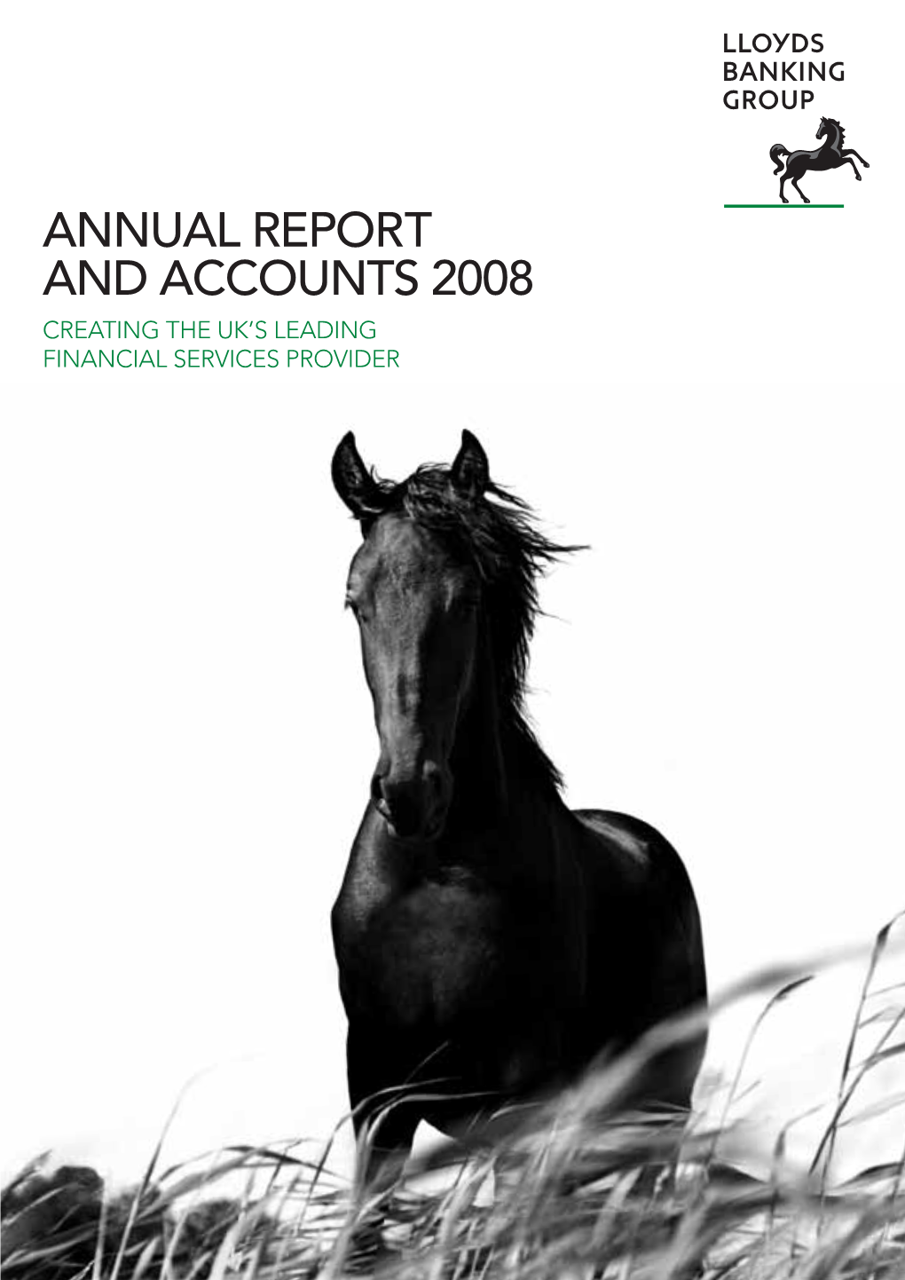 Annual Report and Accounts 2008