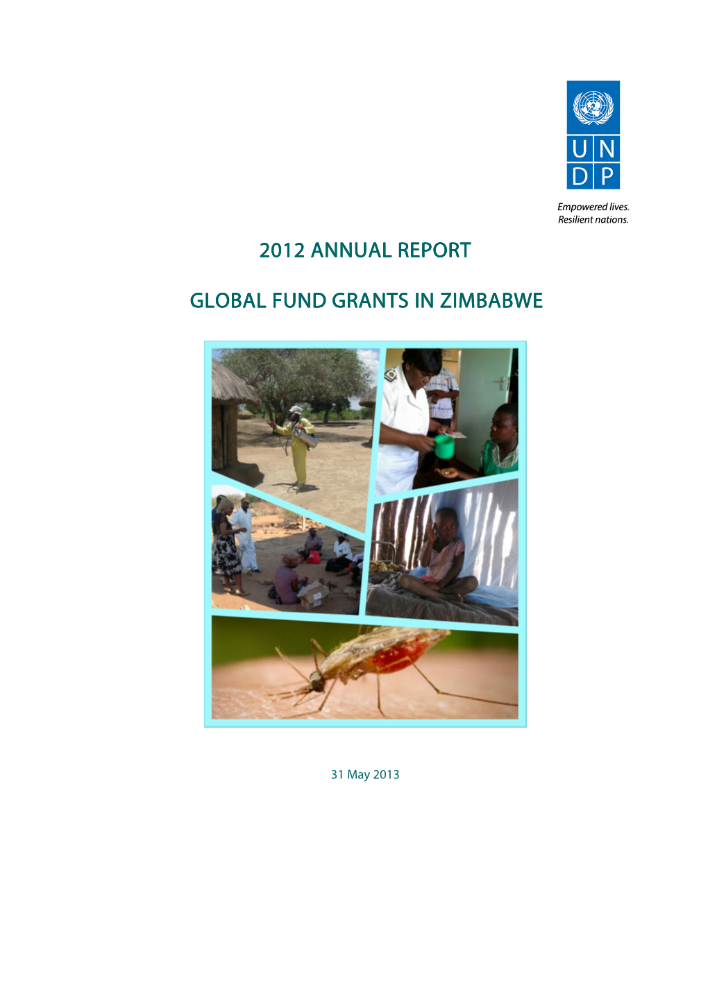 Annual Report Malaria Grant, Global Fund Grants