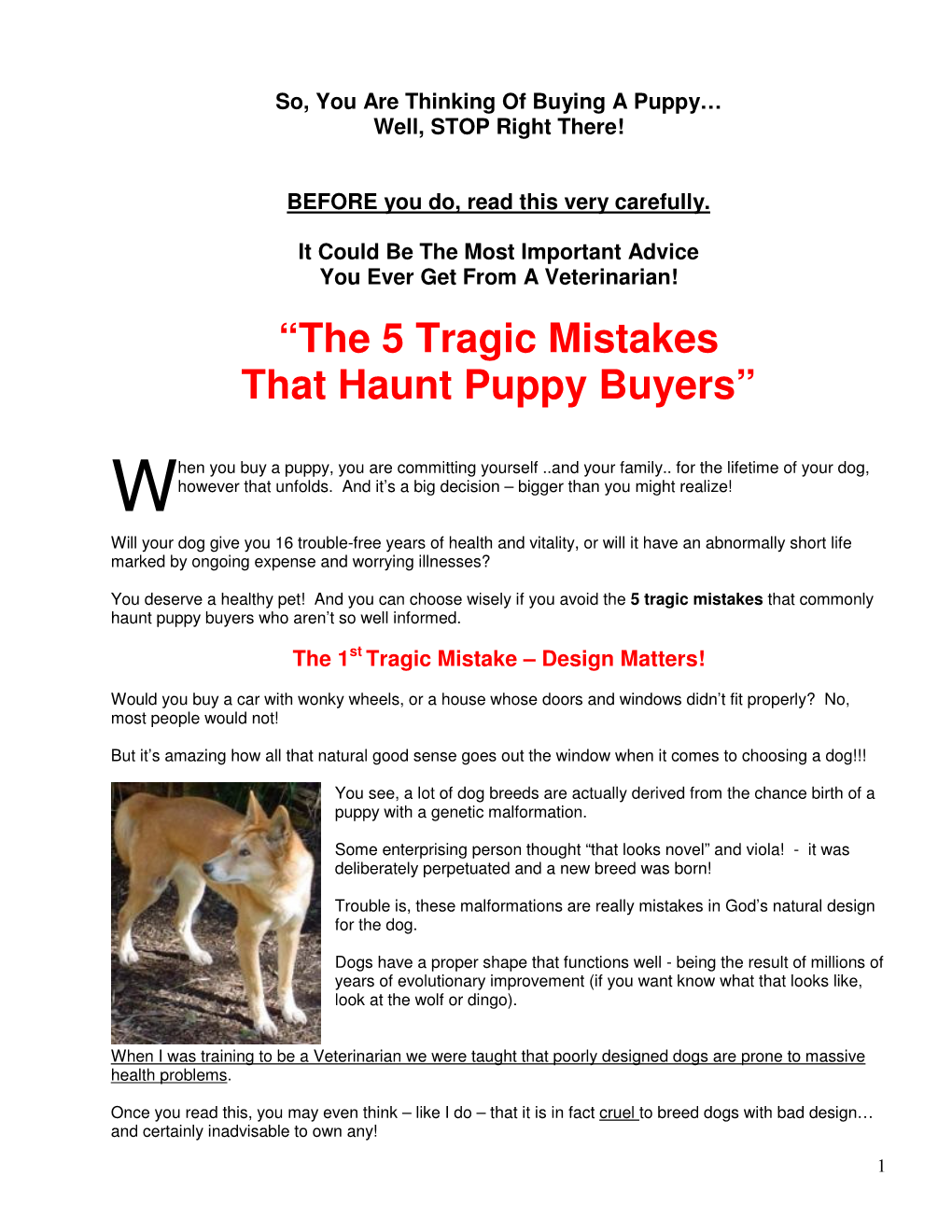 “The 5 Tragic Mistakes That Haunt Puppy Buyers”