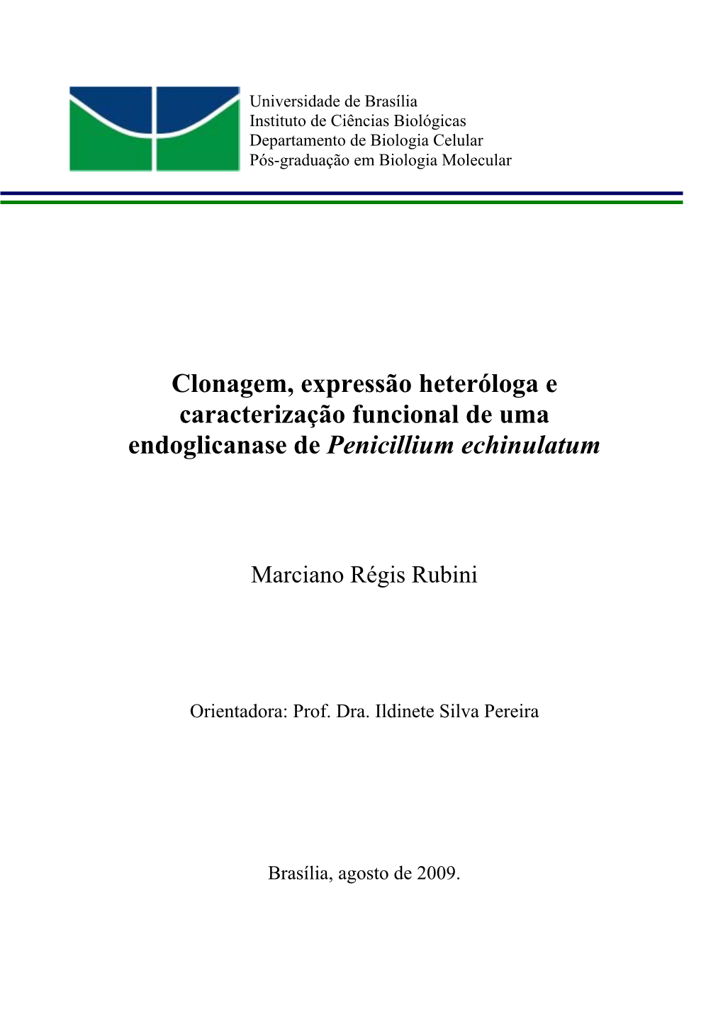 Clonagem, Expressão Heteróloga E Caracterização Funcional De Uma Endoglicanase De Penicillium Echinulatum