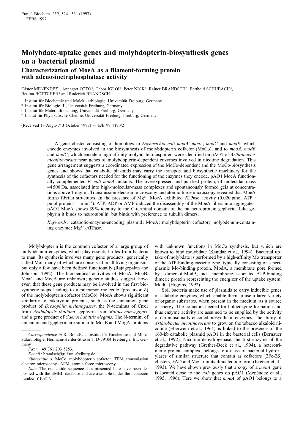 Molybdate-Uptake Genes and Molybdopterin-Biosynthesis Genes