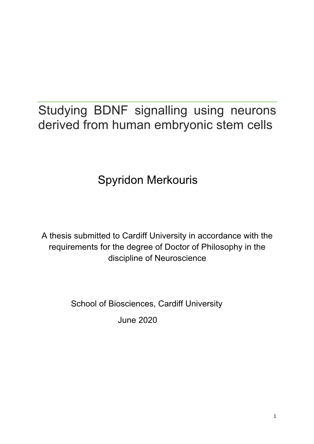 Studying BDNF Signalling Using Neurons Derived from Human Embryonic Stem Cells