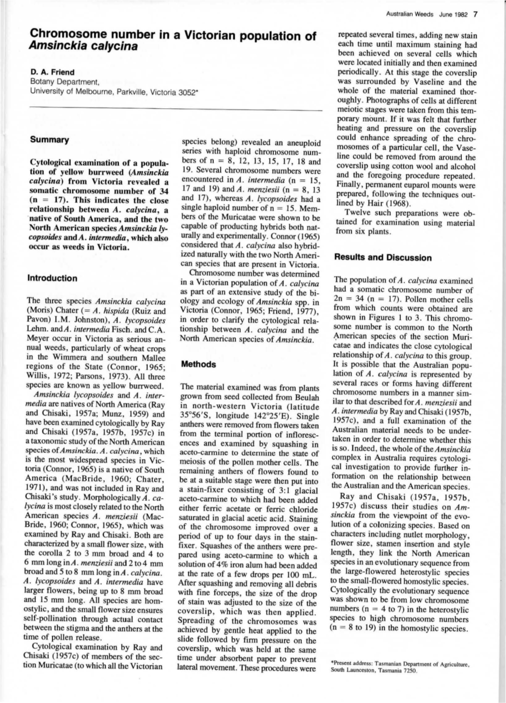 Chromosome Number in a Victorian Population of Amsinckia Ca/Ycina