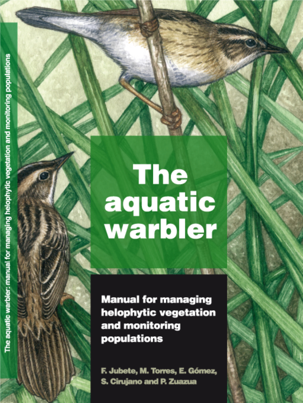 The Aquatic Warbler