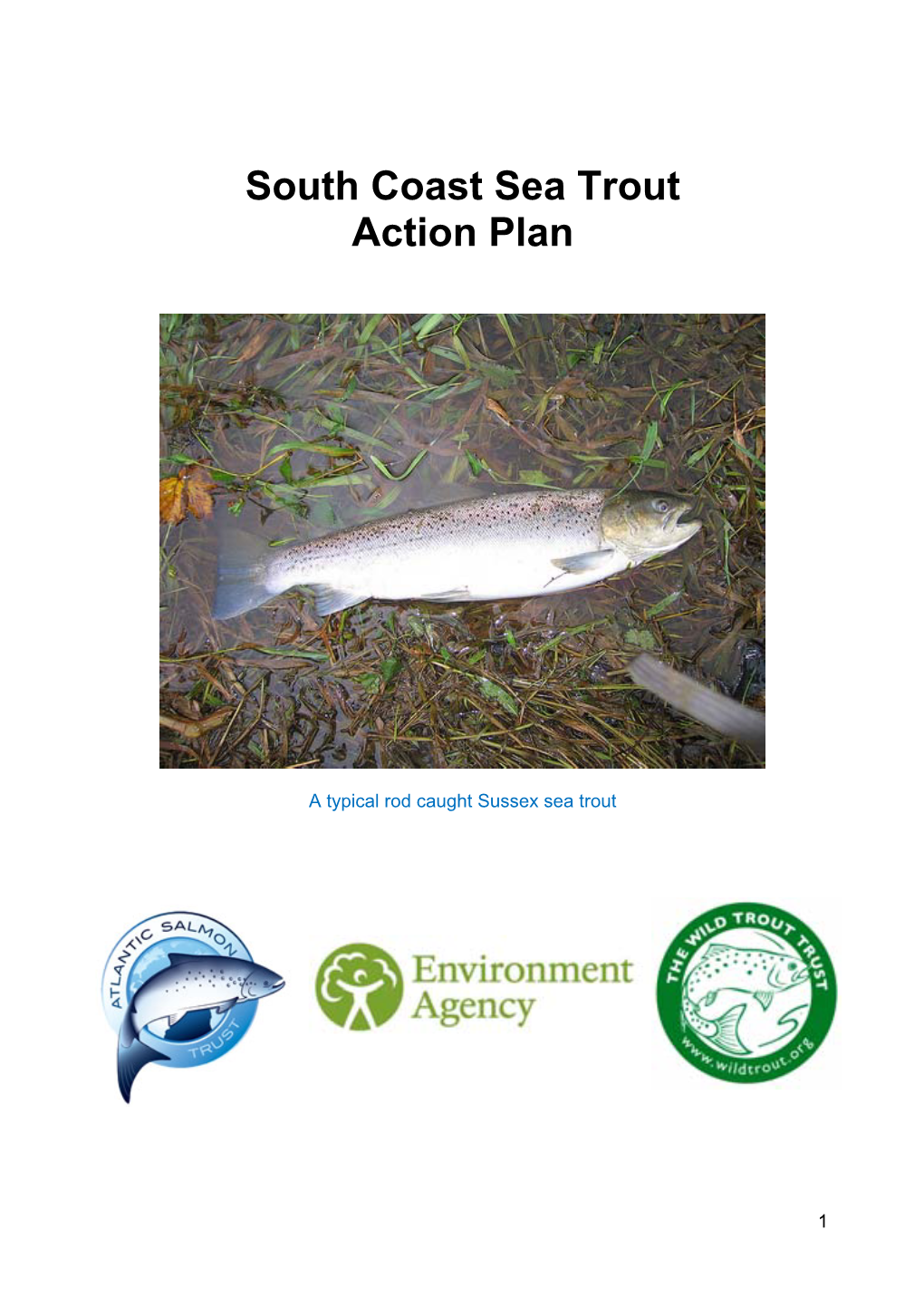 South Coast Sea Trout Action Plan