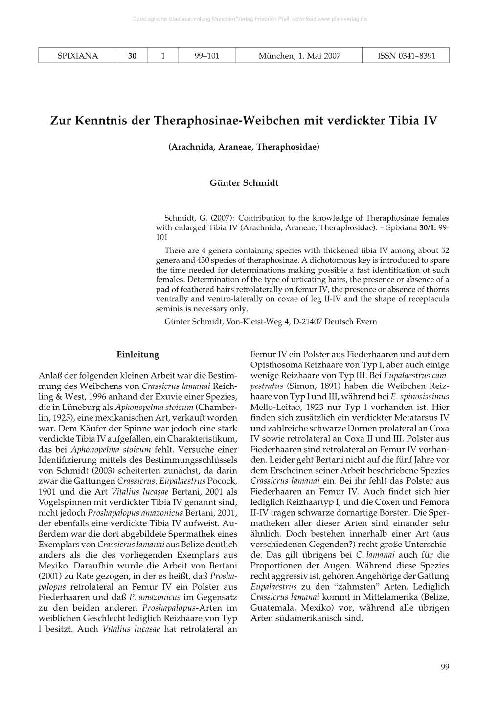 Zur Kenntnis Der Theraphosinae-Weibchen Mit Verdickter Tibia IV