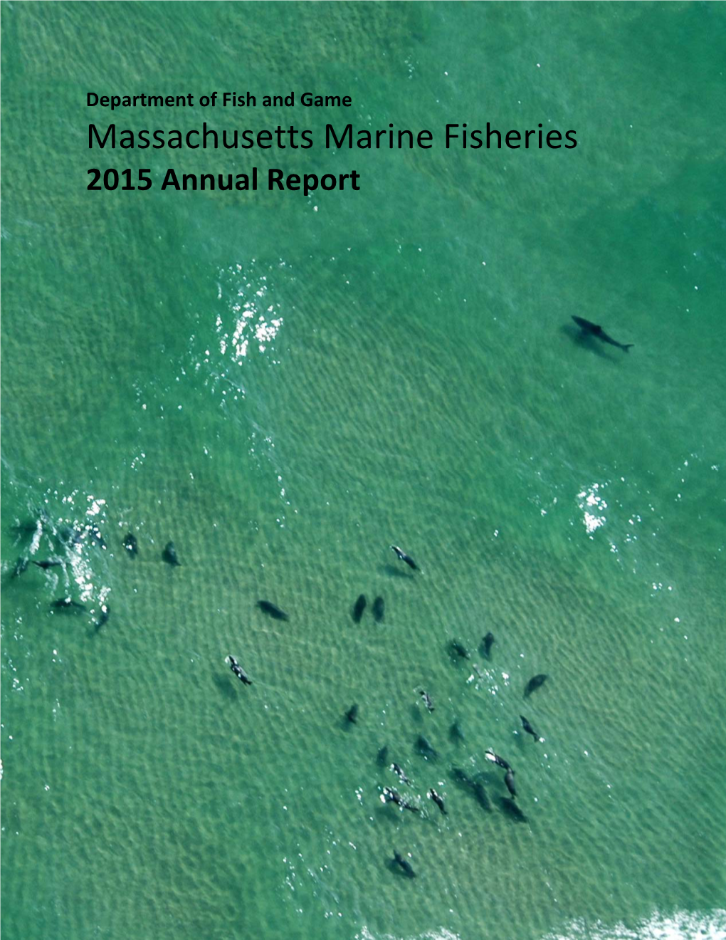Massachusetts Marine Fisheries 2015 Annual Report