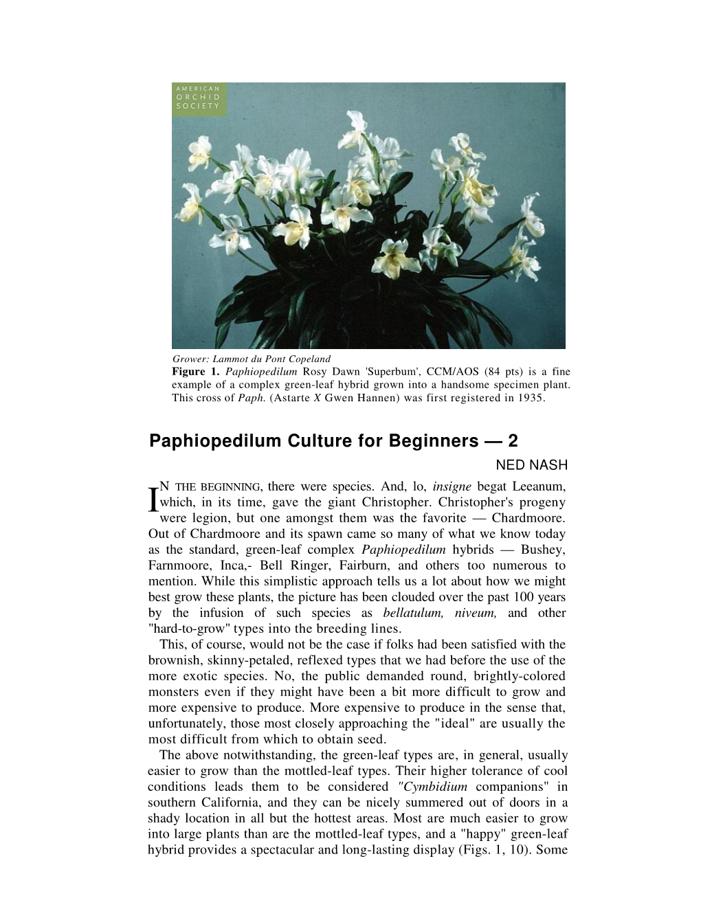 Paphiopedilum Culture for Beginners — 2 NED NASH N the BEGINNING , There Were Species