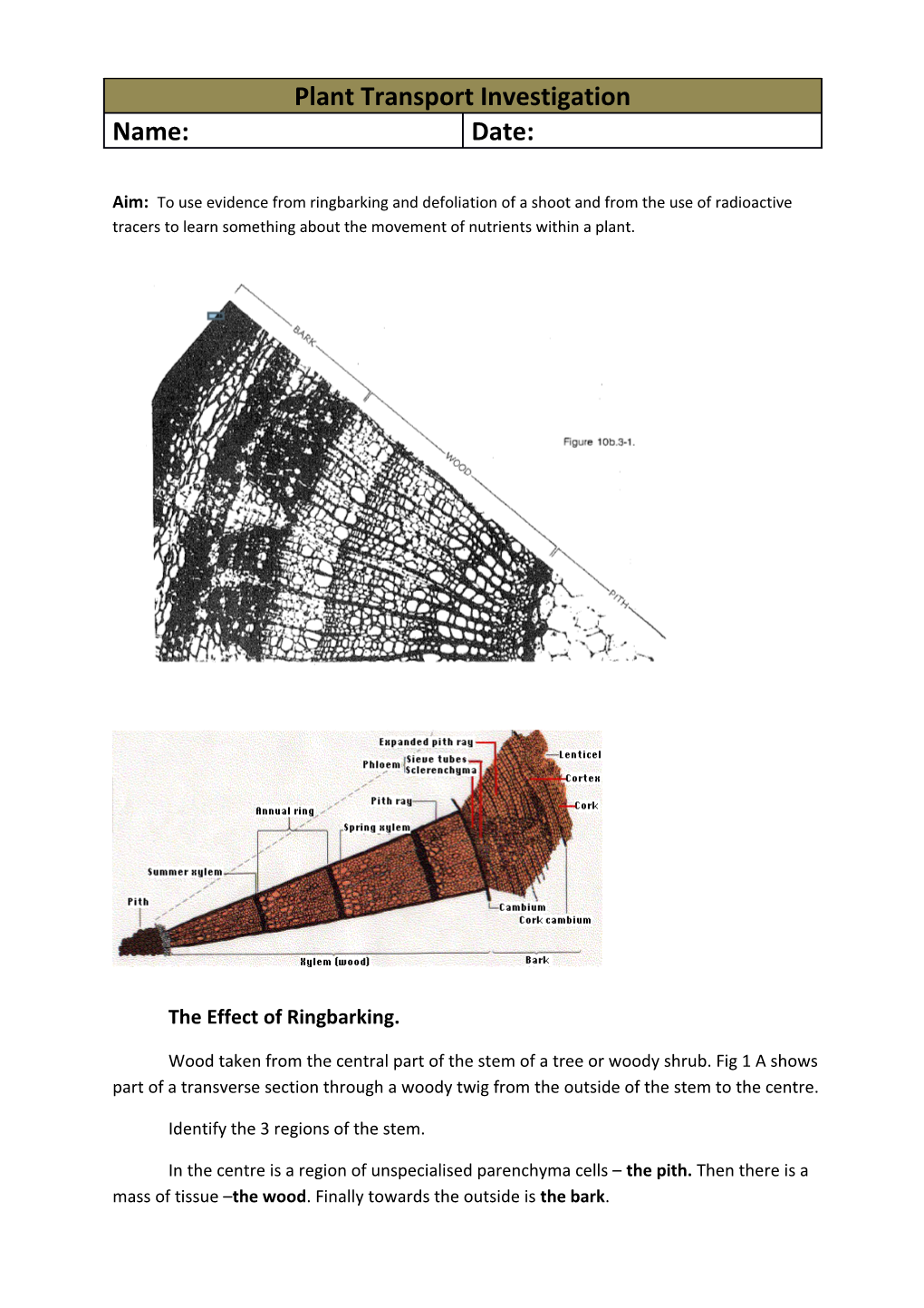 The Effect of Ringbarking