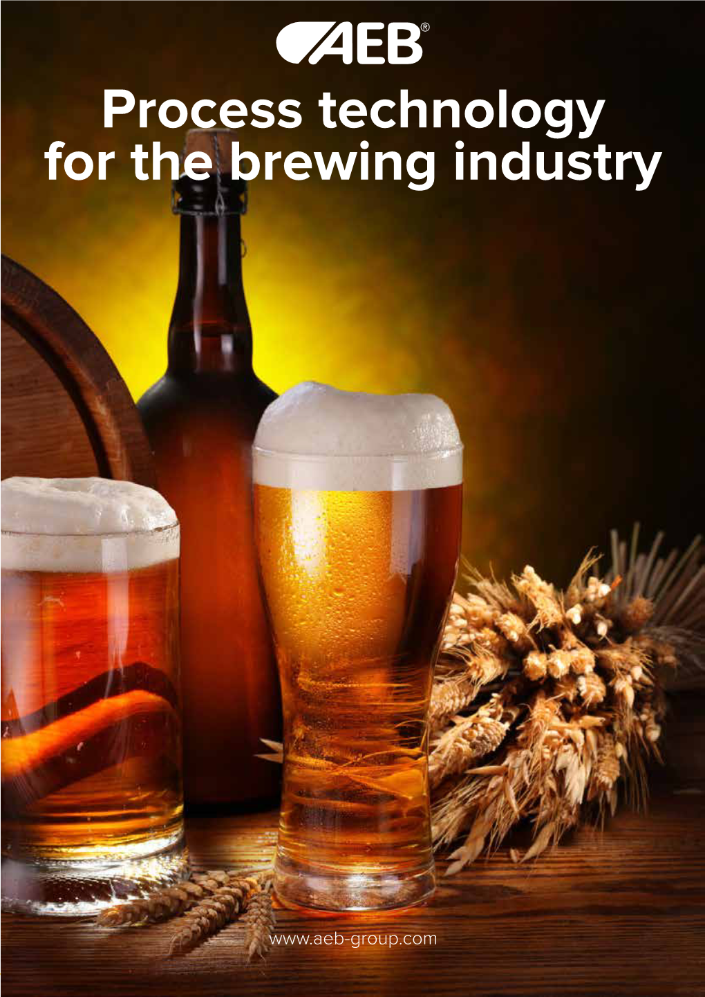 Process Technology for the Brewing Industry