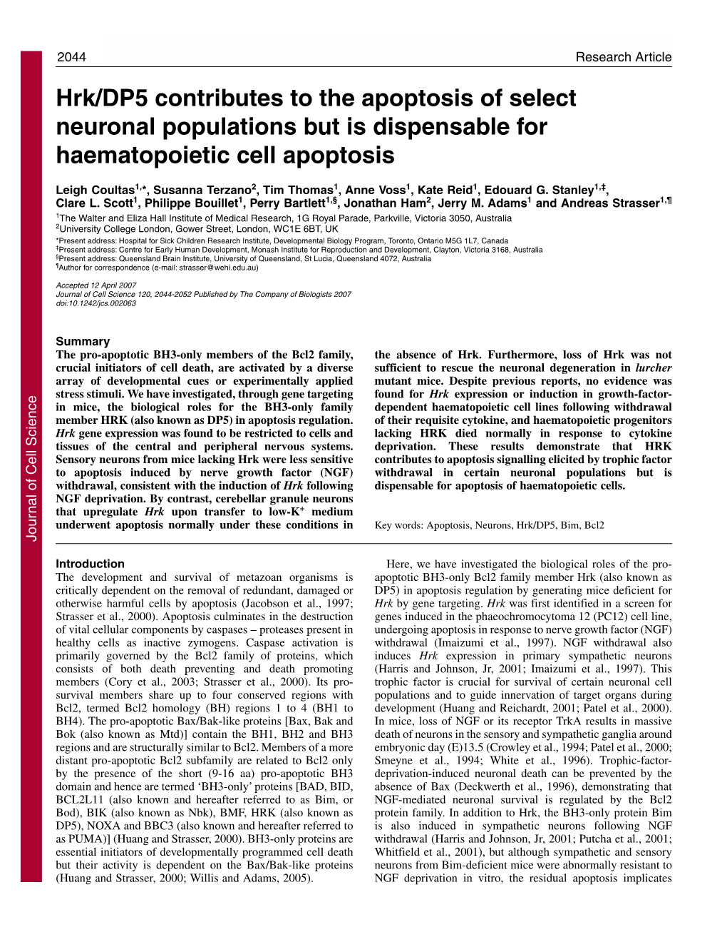 Hrk/DP5 Contributes to the Apoptosis of Select Neuronal Populations but Is Dispensable for Haematopoietic Cell Apoptosis