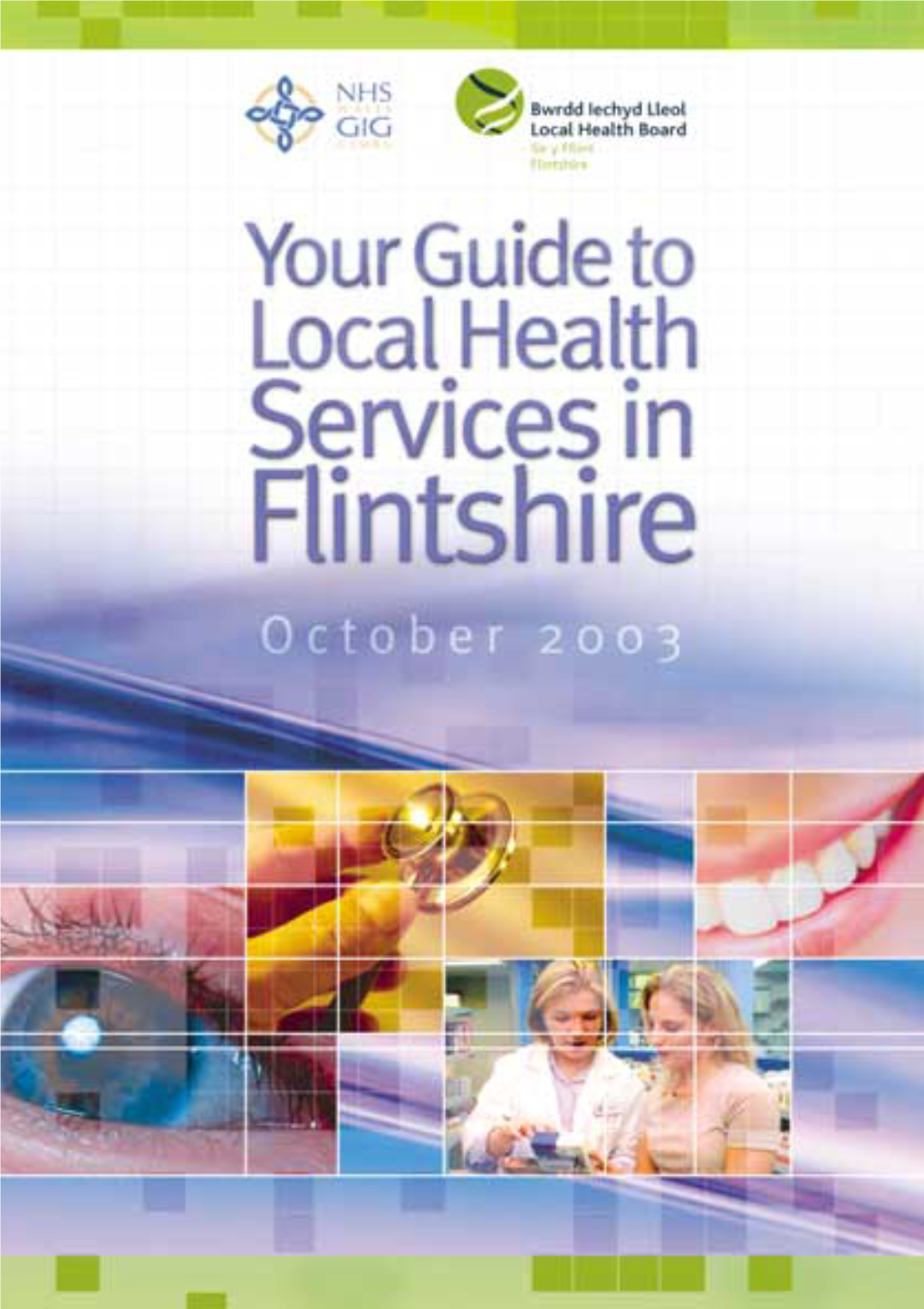 Your Guide to Local Health Services in Flintshire