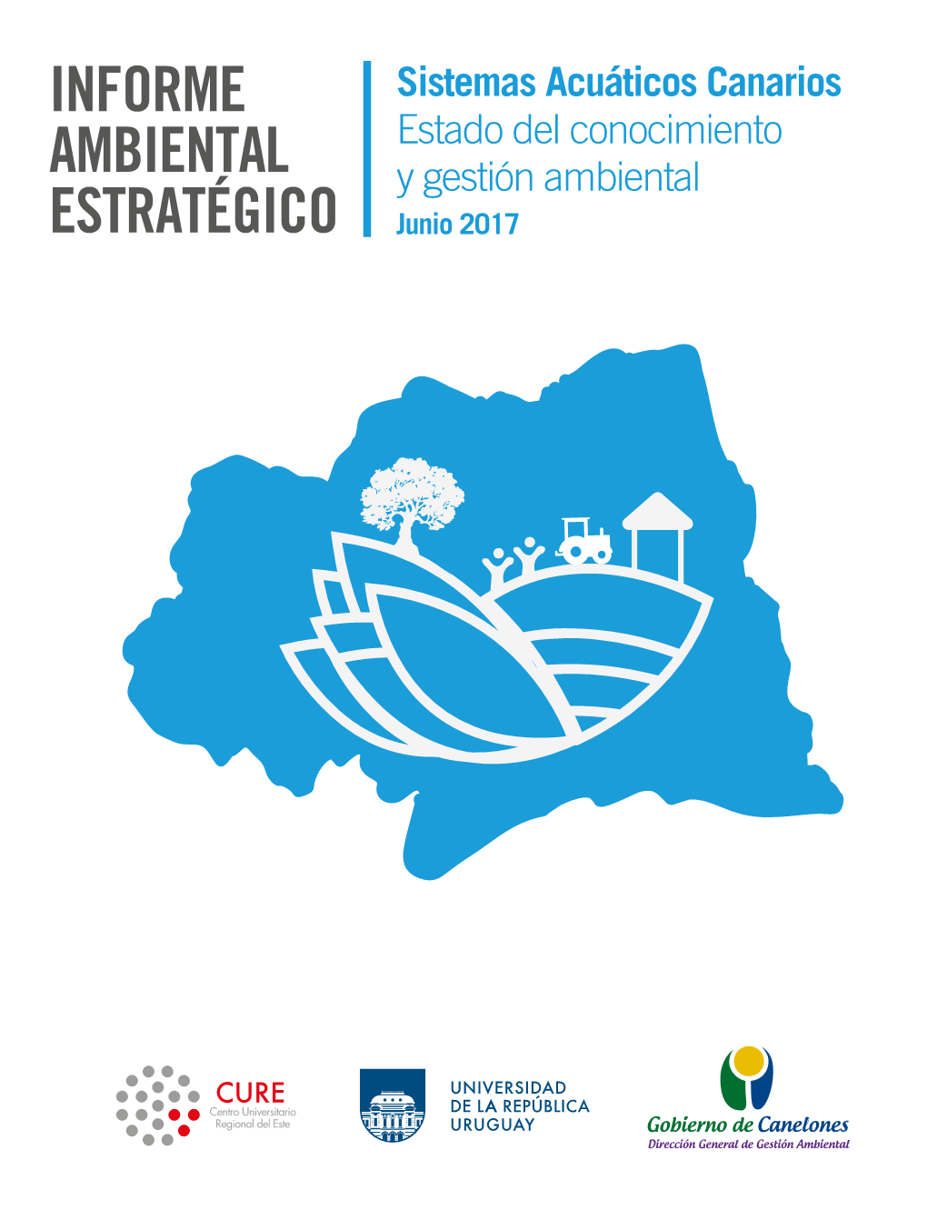 Informe Ambiental Estratégico