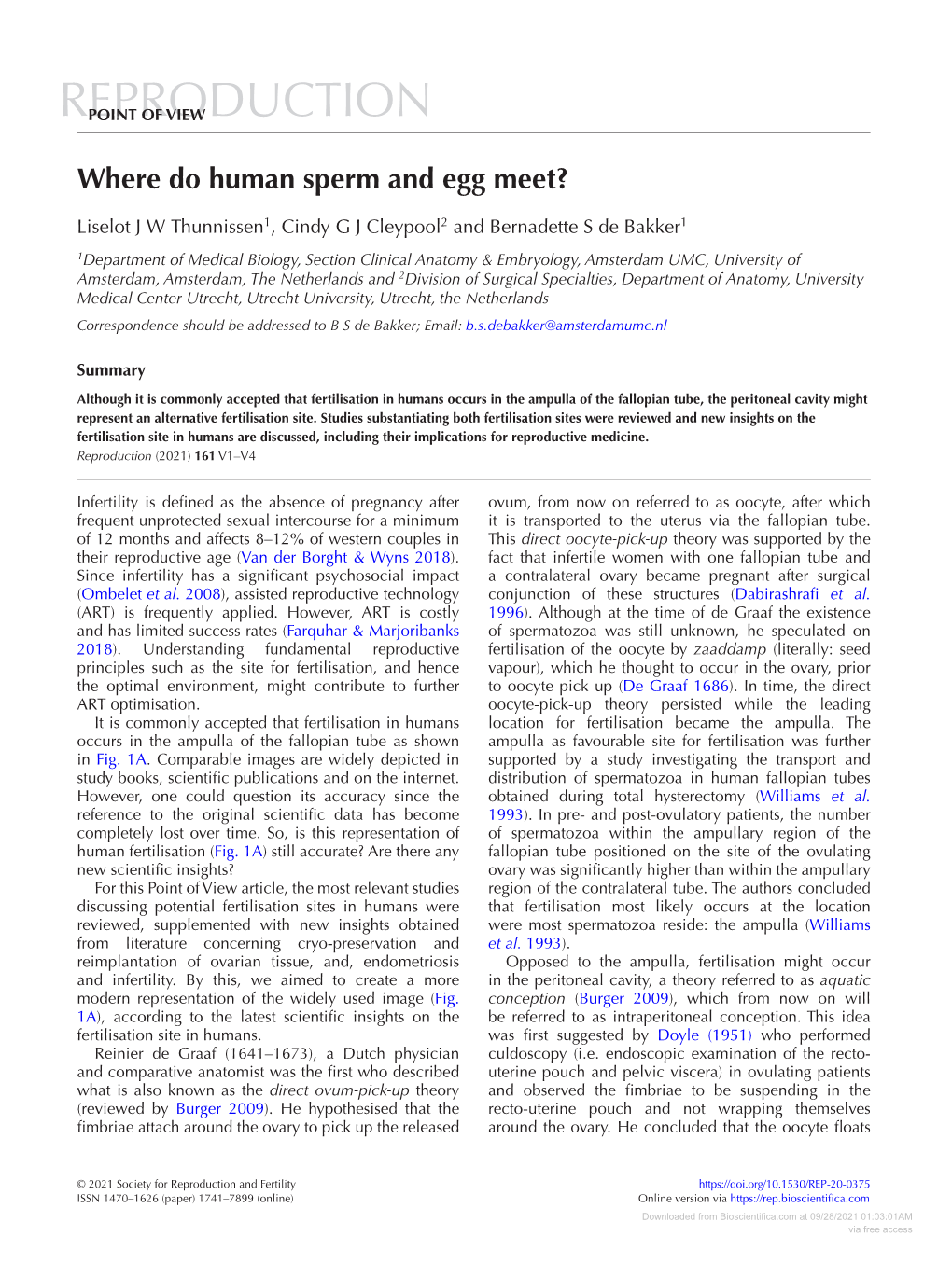 Where Do Human Sperm and Egg Meet?